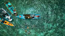 Iran sees fisheries as strategic driver of food security 