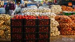 Iran targets to produce 1.2m tons of tomatoes, potatoes, onions, official says