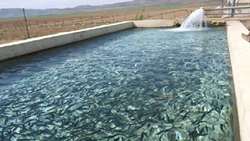 Agricultural water storage ponds sustainable capacity for aquaculture development 