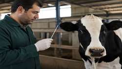 East Azarbaijan expands artificial insemination program to boost livestock productivity