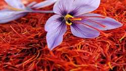 Iran to launch saffron exchange warehouses in North Khorasan by 2026 harvest