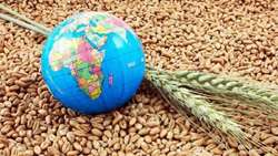 Iran unveils five-year plan to boost rainfed agriculture