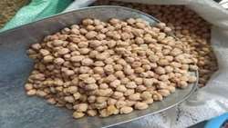 Iran resumes chickpea exports, targets record shipments