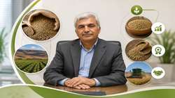 East Azarbaijan remains Iran’s leading lentil producer: Official 