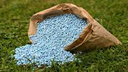 Iran’s fertilizer use remains below global average, official says