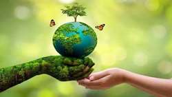 Iran steps up conservation, restoration of its largest natural ecosystem