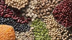 Azarshahr, Iran’s legume capital, Mideast processing hub