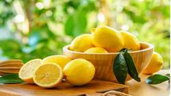 Over 2,300 tons of lemons, dates exported from south to neighboring countries