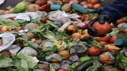Iran targets 50 percent reduction in food, agricultural losses by 2032