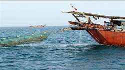 Iran calls for stronger cooperation to combat illegal fishing