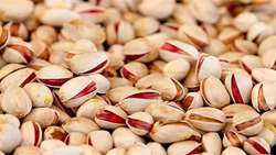 Iran’s pistachio exports to Europe reach €27m in 3 months