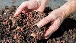 Granulated compost fertilizer plant opens in Mazandaran