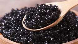 Kohgiluyeh-Boyerahmad raises caviar output elevenfold