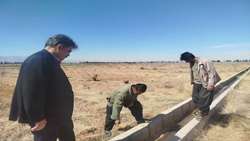 Yazd Research Center launches agri-voltaic project to boost pistachio production