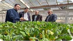 AREEO chief visits key seed bank in push for self-sufficiency