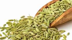 Iran’s stock exchange to trade fennel soon