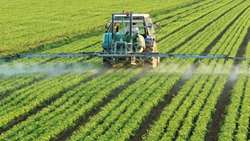 Iran reports major agricultural milestones