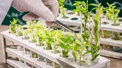 Iran launches backup for national gene bank, home to 8,000 plant species