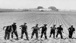 US adventures in Strait of Hormuz pushing UK farming back to pre-industrial era: Report 