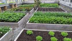 Gilan’s villa gardens an opportunity for farmers, official says 