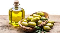 Iran’s ‘green gold’ olives head directly from Zanjan orchards to global markets