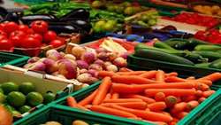 North Khorasan expands agricultural exports to Russia, Kazakhstan