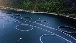 Mazandaran moves to expand cage fish farming via private sector participation