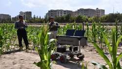 Tabriz University develops smart robots to slash agricultural pesticide use