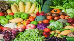 Iran annual horticultural output tops 25m tons