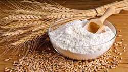 Government to buy over 8.5m metric tons of surplus wheat from Iranian farmers
