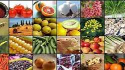 Iran largest producer of horticultural products in region: Official