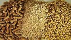 Iran imports 61,000 tons of soybean meal from Brazil