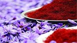 Iran exports over 12 tons of saffron to 29 countries in 1 month: Data