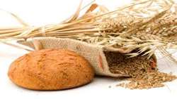 Wheat output in Iran to grow by 10 percent in current crop year