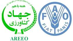 FAO and AREEO establish Innovation Lab (i-Lab) to achieve innovative ‎solutions addressing the emerging issues such as climate change, water ‎scarcity and soil erosion