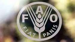 FAO launches e-Learning course to transform dryland management