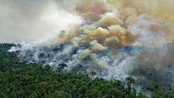 Leaders of more than 100 countries pledge to end deforestation by 2030