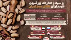 Iran pistachio production to see major rise, official says