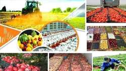 Iran annual agriculture exports at five billion dollars