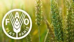 Iran and FAO to jointly work on development of model farms NFS