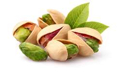 Iran pistachio export revenue rises to 23m euros in 2022