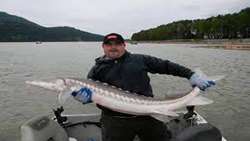 Production of more than 1.2 million tons of aquatic in Iran in 2021/ Production of 2200 tons of sturgeon meat in Mazandaran