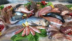Iran balance of foreign trade of aquatics soars