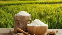 Iran has no urgent need to import rice  official says