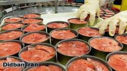 Iran plans to increase fresh tuna consumption