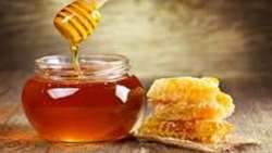 Ardabil province producing, exporting quality honey: Official