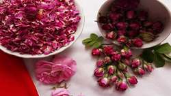Iran meets 70 percent of world demand for Damask rose