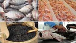 Iran exports 61,000 tons of fishery products in 6 months