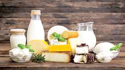 Iran exports over 325,000 tons of dairy produce in 7 months