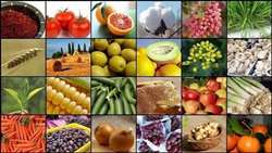 Iran exports over 2m tons of agricultural products in 5 months